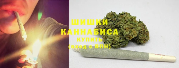 PSILOCYBIN Баксан