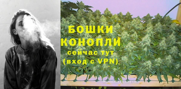 прущие крисы Балабаново