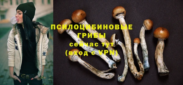прущие крисы Балабаново