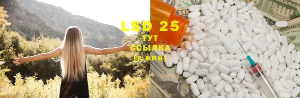 PSILOCYBIN Баксан